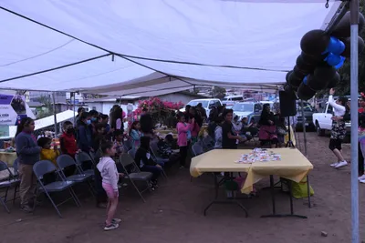 DSC_1383 (Large).JPG